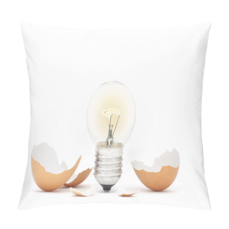 Personality  Innovation - Ideas Light Bulb Hatching Pillow Covers