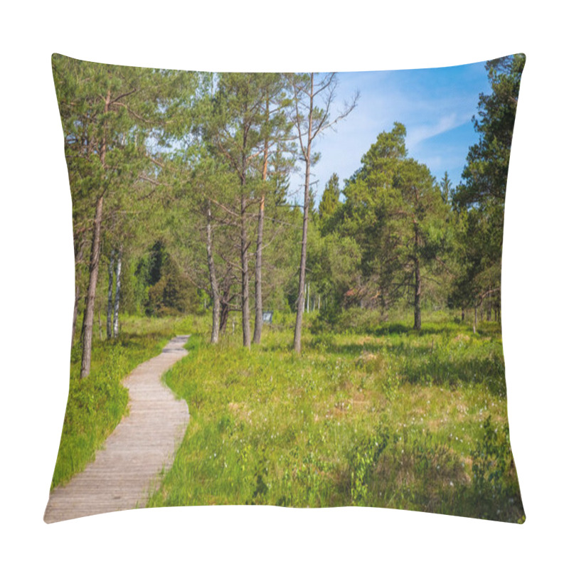 Personality  Walking Trip Through The Bigest Natural Moor In The Wurzacher Ried, Bad Wurzach, South Germany Pillow Covers