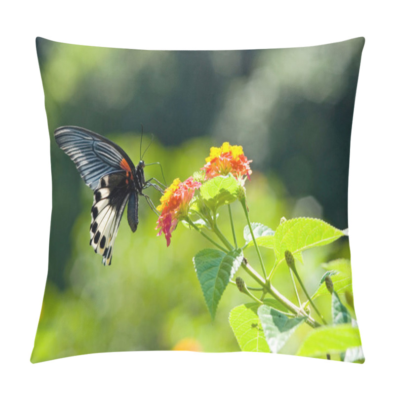 Personality  Swallowtail Butterfly Pillow Covers