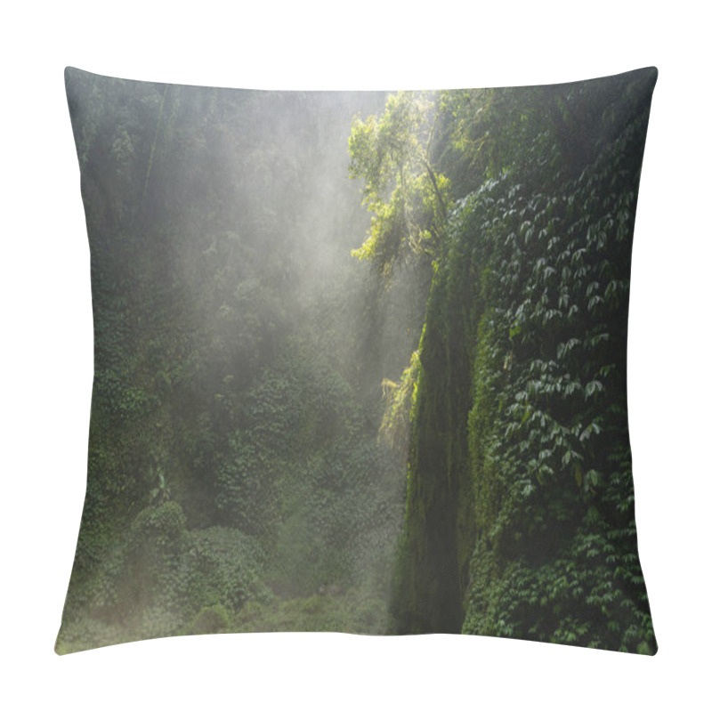 Personality  Morning Fog In Dense Tropical Rainforest Pillow Covers