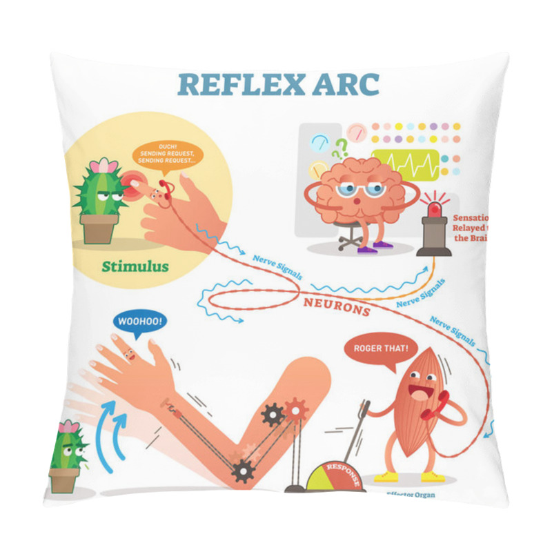 Personality  Spinal Reflex Arc Scheme, Vector Illustration, With Stimulus Pathway Through The Nerve Signals And Muscle Response. Diagram With Fun Cartoon Characters. Pillow Covers