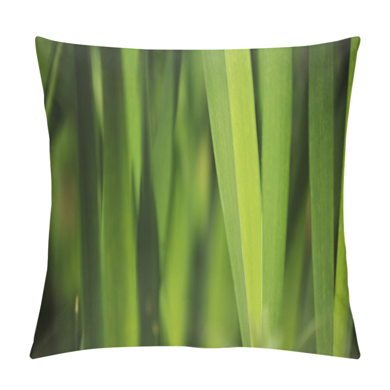 Personality  Green Grass Background Pillow Covers