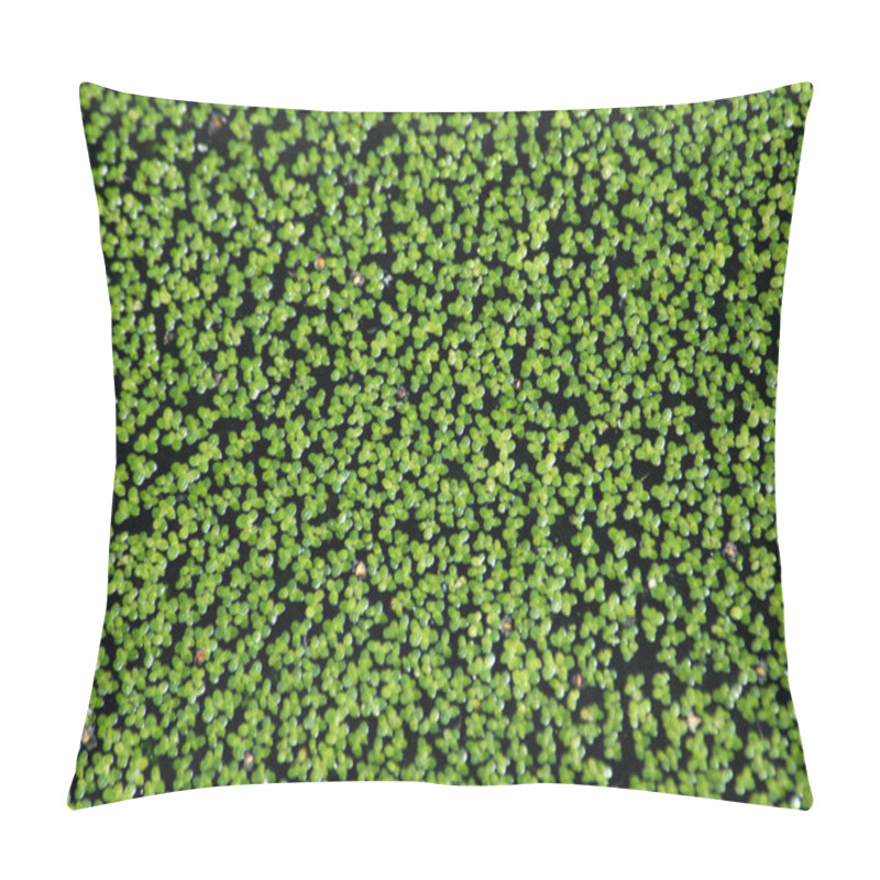 Personality  Common Duckweed Pillow Covers