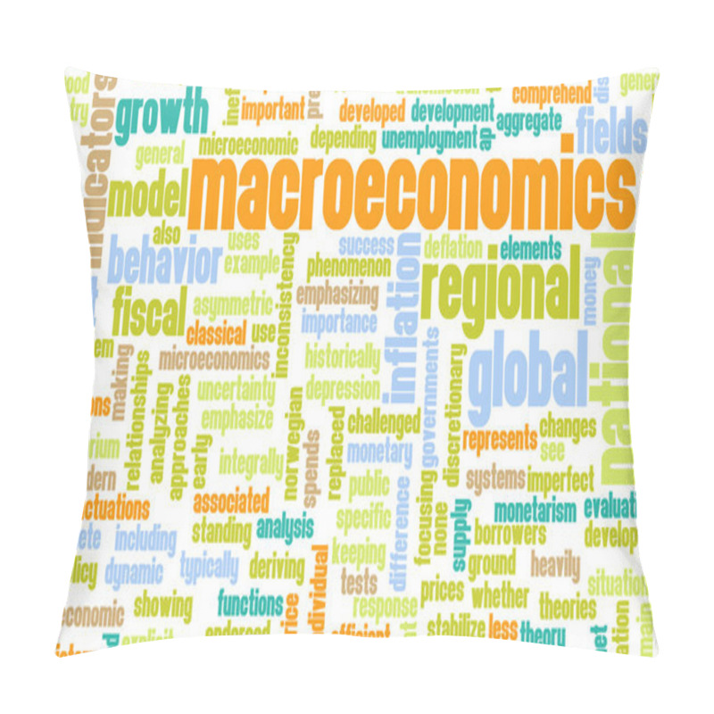 Personality  Macroeconomics Pillow Covers