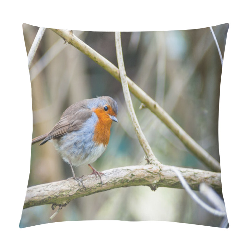 Personality  Red Breasted Robin Bird Perched Pillow Covers