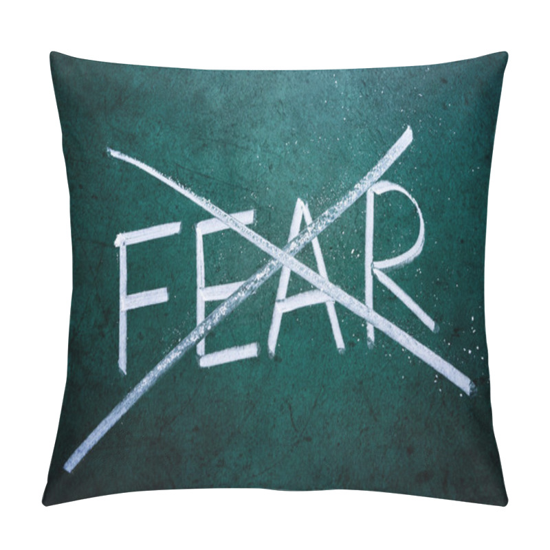 Personality  No Fear Concept Pillow Covers