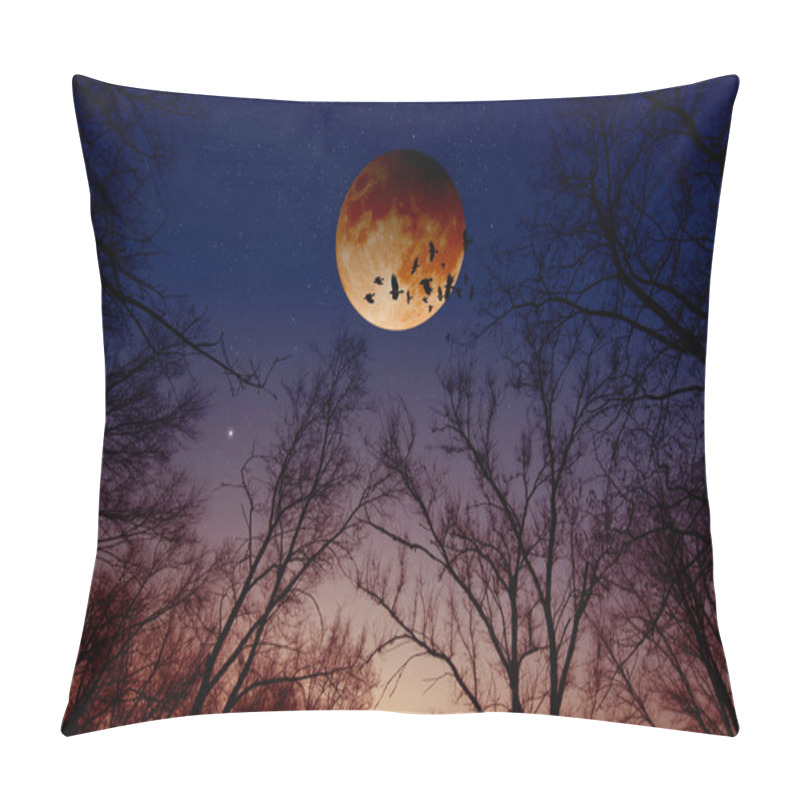 Personality  Lunar, Moon Eclipse Pillow Covers