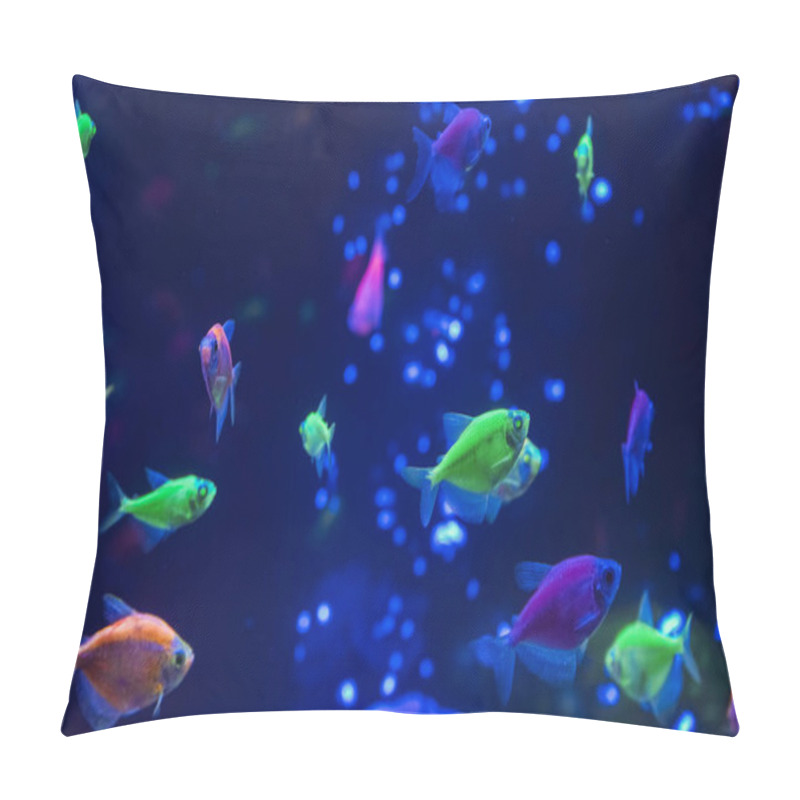 Personality  A Flock Of Beautiful Neon Glowing Fish In A Dark Aquarium With Neon Light. Glofish Tetra. Blurred Background. Selective Focus. Underwater Life Pillow Covers