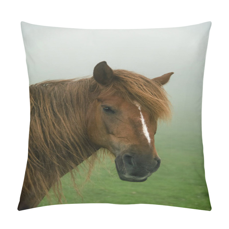 Personality  A Hutsul Horse With A Mane, A Portrait Of A Horse In The Fog On A Paddock In The Ukrainian Carpathians Pillow Covers