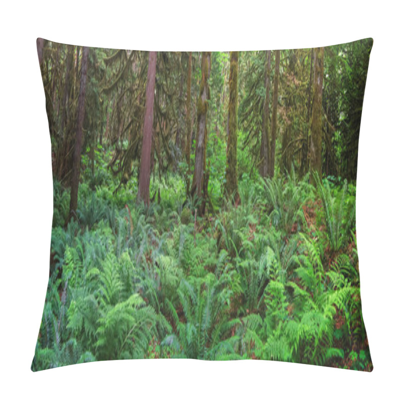 Personality  Many Fern Plants Under Tree Shade In Rain Forests Of North Cascade Mountains In Washington Pillow Covers