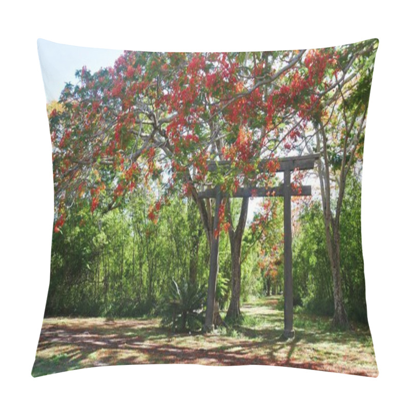 Personality  Flame Tree Flowering, Tinian, Northern Mariana Islands Pillow Covers