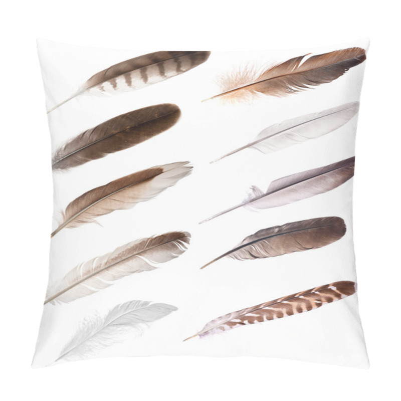 Personality  Ten Feathers From Different Birds Pillow Covers