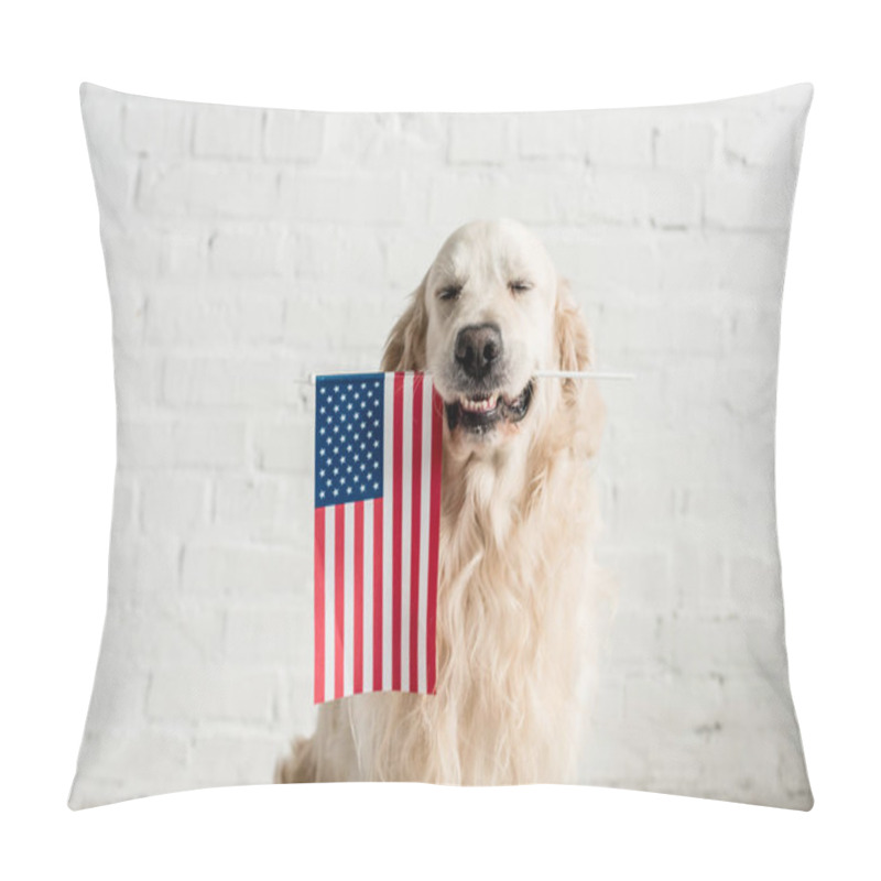 Personality  Cute Golden Retriever With Closed Eyes Holding American Flag   Pillow Covers