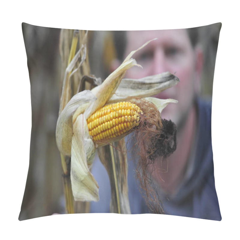 Personality  Farmer Behind Damaged Corn Plant, Drought Damage In Maize Field Pillow Covers