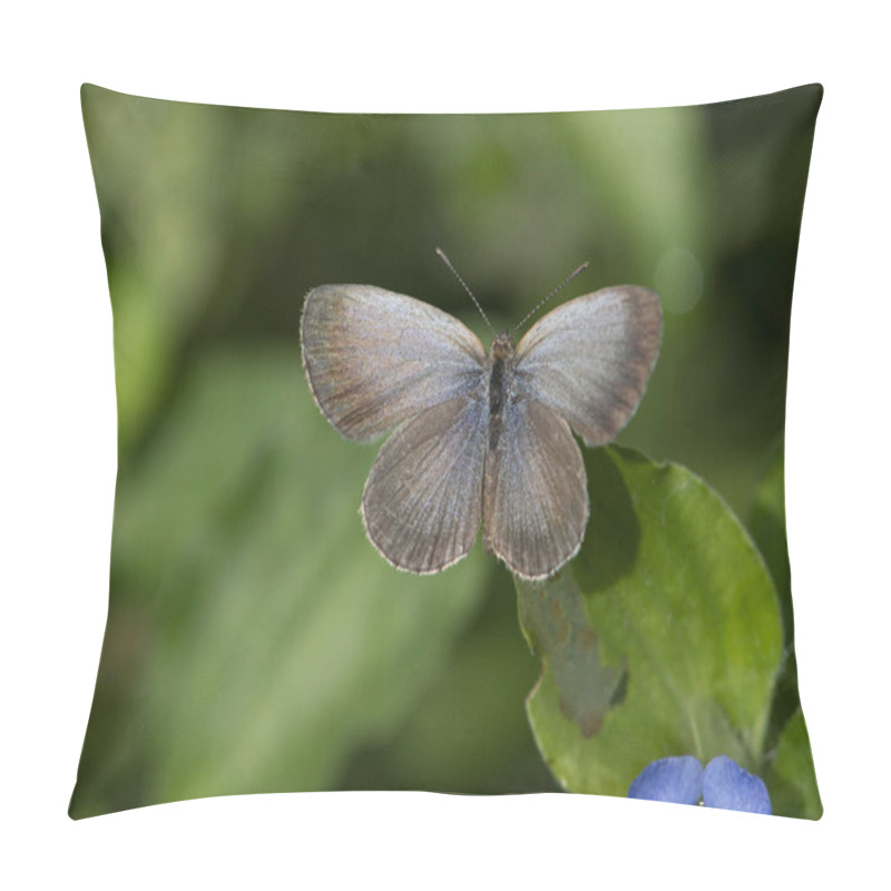 Personality  The Dark Grass Blue Pillow Covers