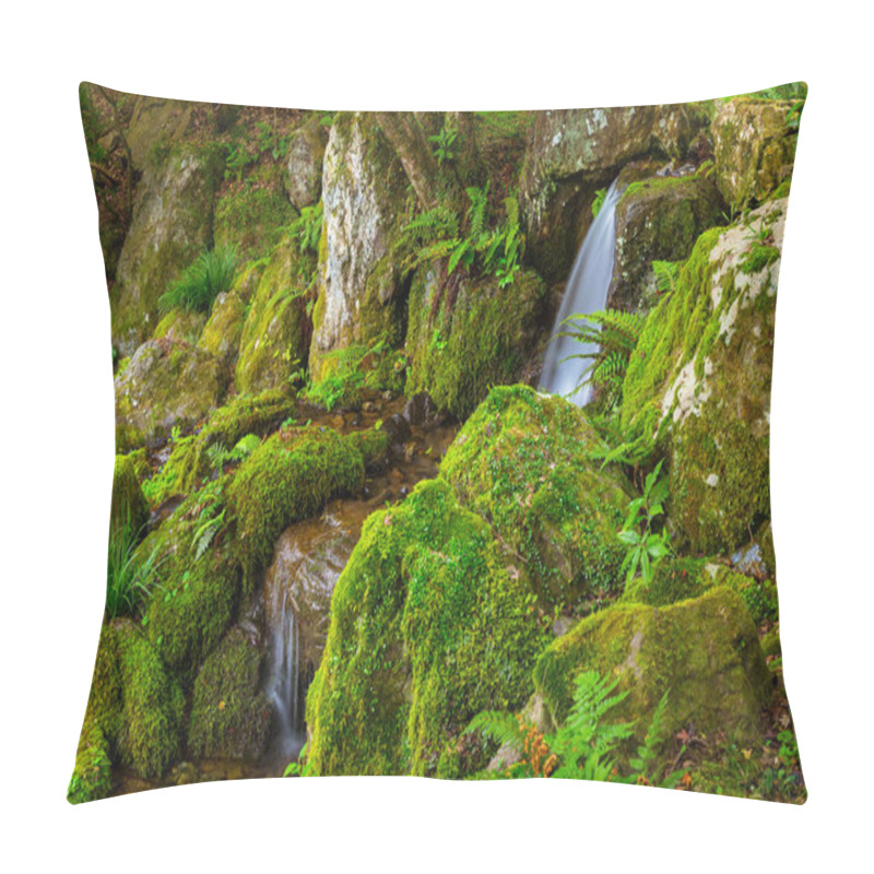 Personality  Crystal Clear Water Of Mountain Creek Pillow Covers