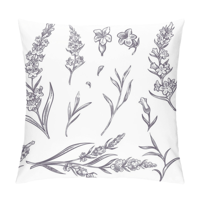 Personality  Lavender Flower Branches And Blooming Sketches Pillow Covers