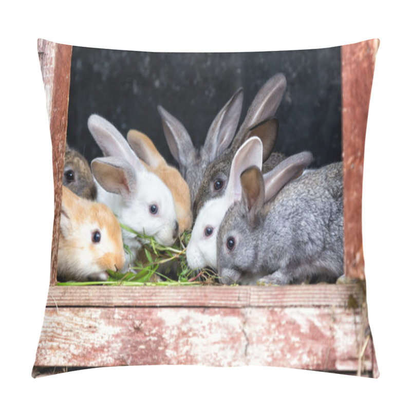 Personality  Rabbits In A Hutch Pillow Covers