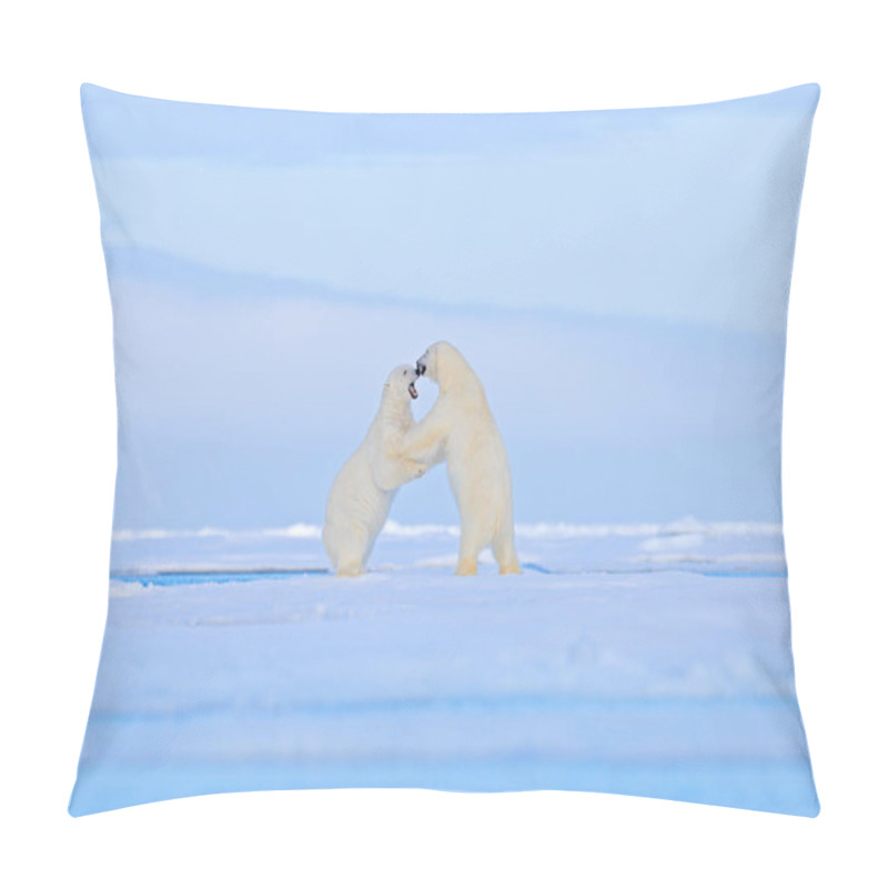 Personality  Polar Bears Dancing Fight On The Ice. Two Bears Love On Drifting Ice With Snow, White Animals In Nature Habitat, Svalbard, Norway. Animals Playing In Snow, Arctic Wildlife.  Pillow Covers