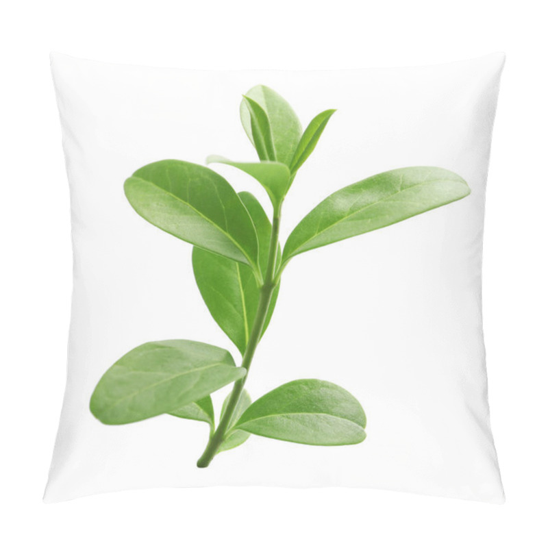 Personality  Branch With Green Leaves On White Background Pillow Covers