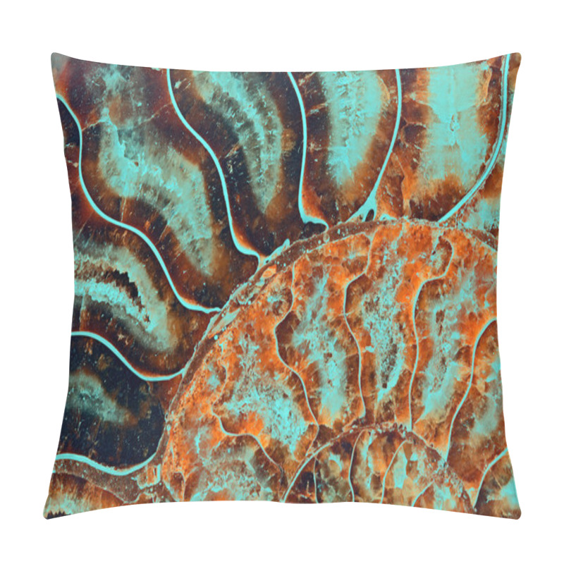 Personality  Fossil Ammonite Pillow Covers