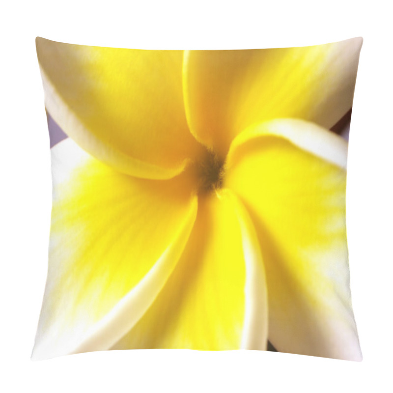 Personality  Single White Frangipani (plumeria) Flower. Macro Pillow Covers