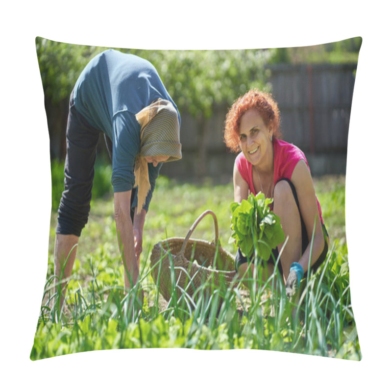 Personality  Woman And Her Elder Mother Harvesting Orache In The Garden Pillow Covers