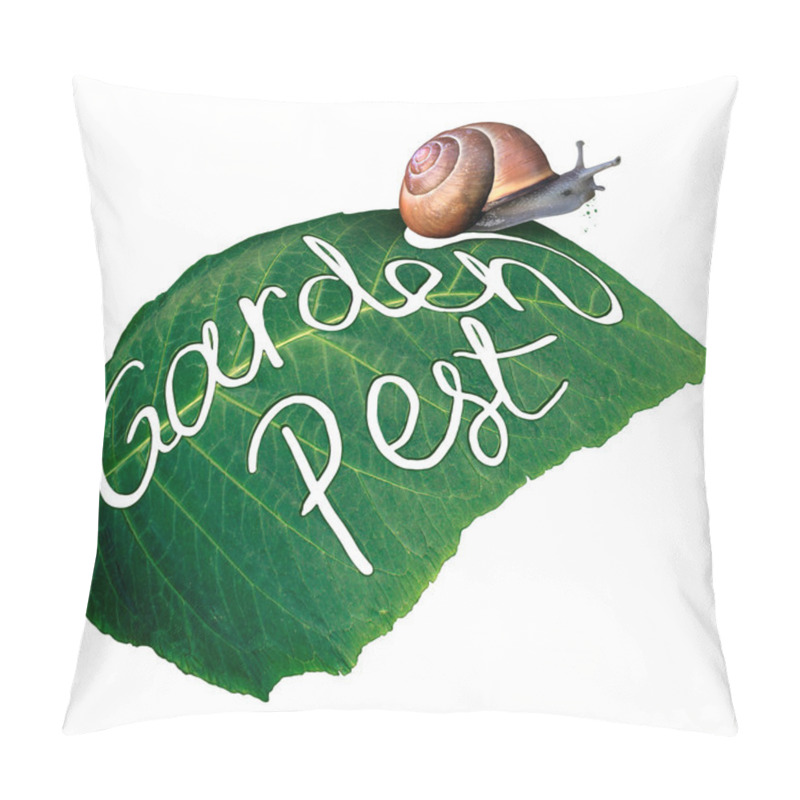 Personality  Garden Pest Pillow Covers