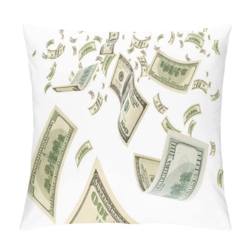 Personality  Money In Air. Pillow Covers