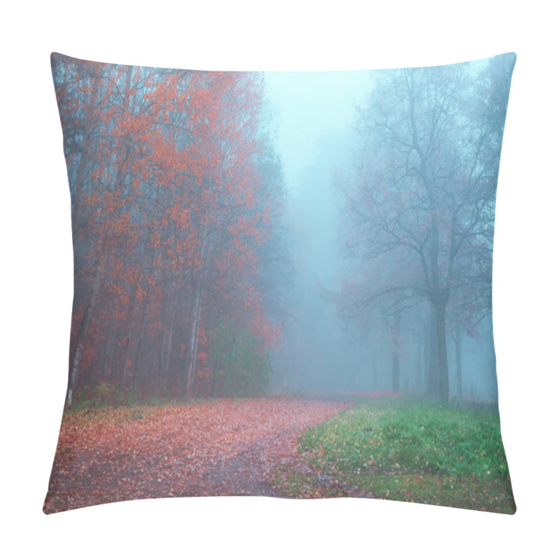 Personality  Mystical Autumn Landscape With Fog In The Park. Pillow Covers