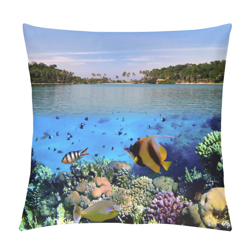 Personality  Photo Of A Coral Colony Pillow Covers