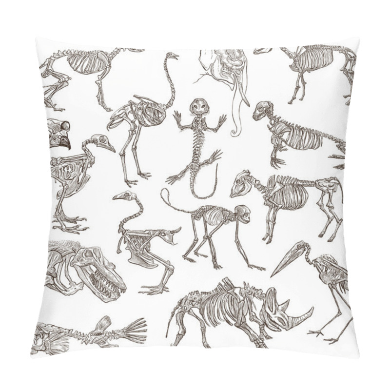 Personality  Bones And Skulls Of Different Animals - Freehands Pillow Covers