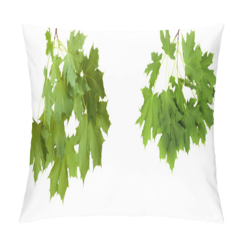 Personality  Set The Branch With Green Summer Leaves Isolated Pillow Covers