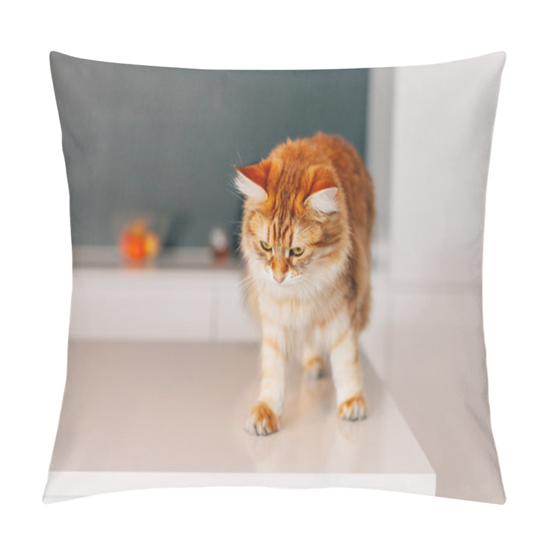 Personality  Ginger Big Cat Walking On A White Kitchen Table.  Pillow Covers