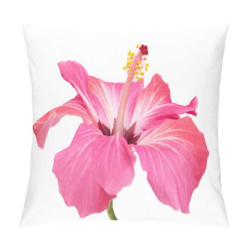 Personality  Pink Hibiscus Flower Isolated Pillow Covers