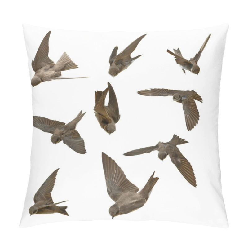 Personality  Set Sand Martin, Swallows In Flight Isolated On White Background, Riparia Pillow Covers