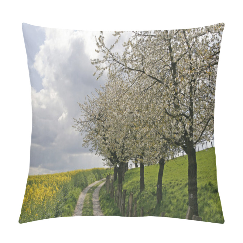 Personality  Footpath With Rape Field And Cherry Trees In Hagen, Lower Saxony, Germany Pillow Covers