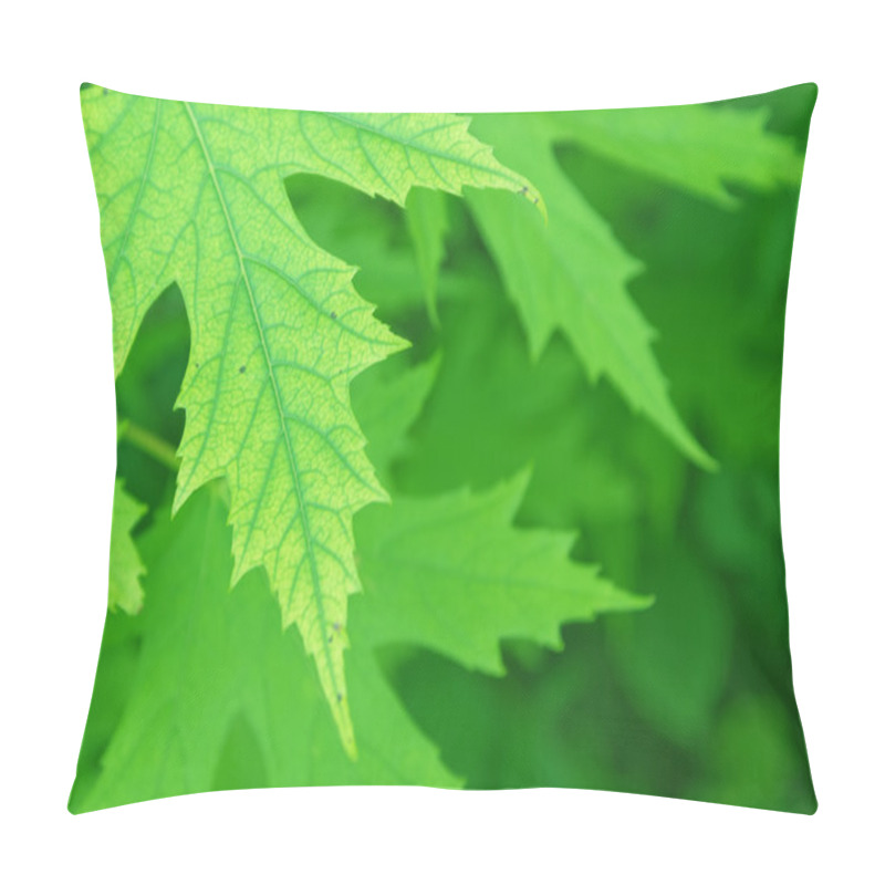 Personality  Beautiful Green Background Pillow Covers