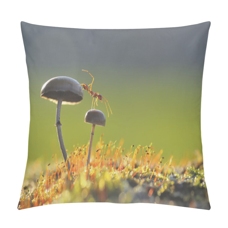 Personality  Weaver Ant Want To Jump From A Mushroom Pillow Covers