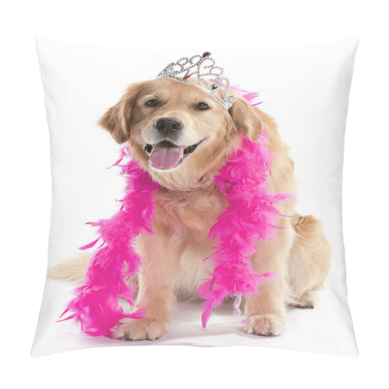 Personality  Silly Golden Retriever Pillow Covers