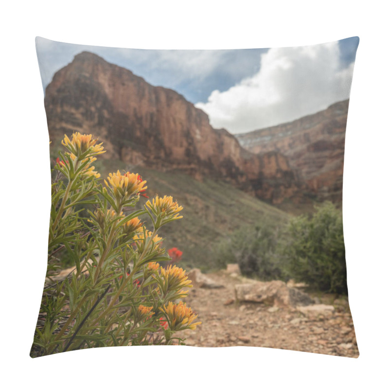 Personality  Orange And Red Paintbrush Below The Rim Of Grand Canyon Along The Tonto Trail Pillow Covers