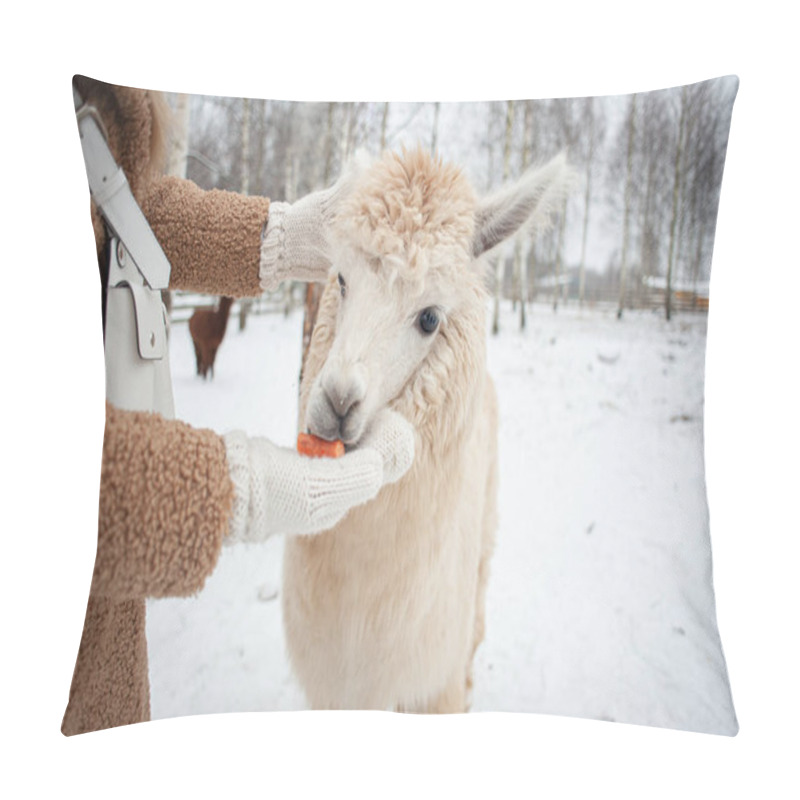 Personality  A Young Girl In A Fur Coat And White Mittens Feeds A White Llama With Carrots. The Girl Feeds The Llama With Her Hand And Strokes Her. Caring For Animals. Pillow Covers