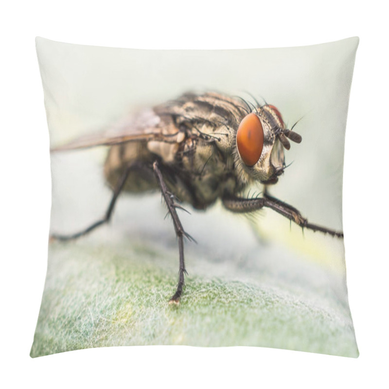 Personality  Fly To Rub The Legs Pillow Covers