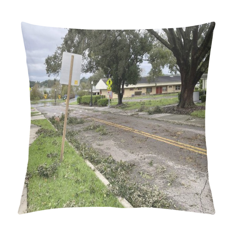 Personality  Lakeland, Fla USA 10 11 24: Hurricane Milton Damage And Scattered Foliage Roadway Pillow Covers