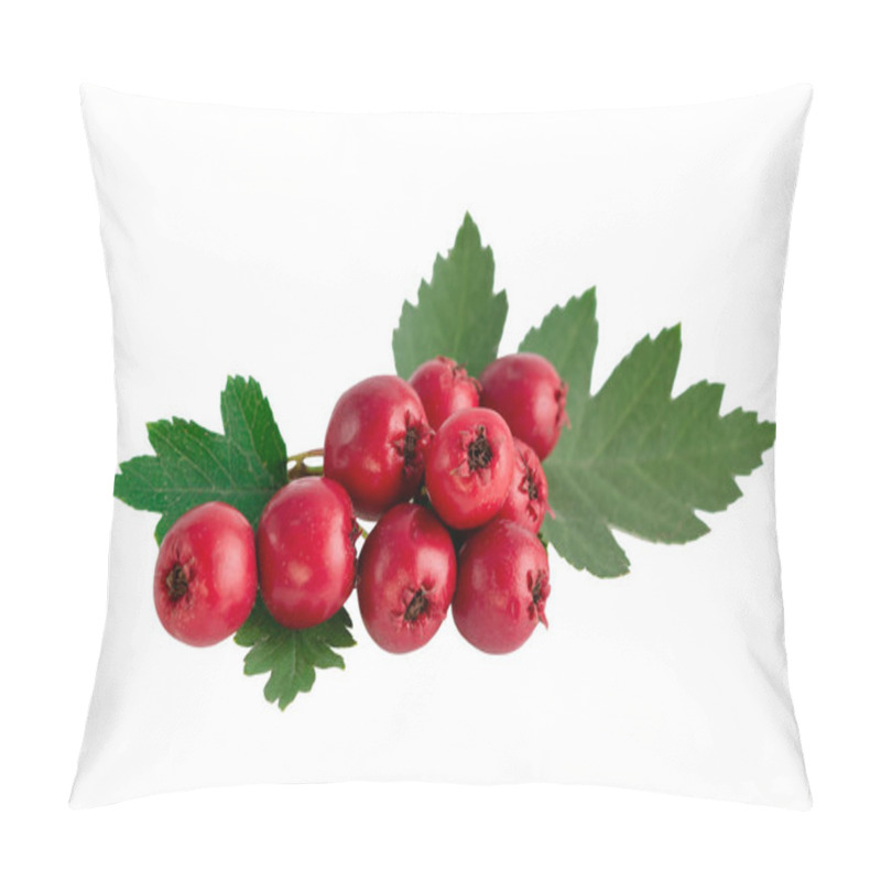 Personality  Hawthorn Or Common Hawthorn Or Crataegus Monogyna Berries  Isolated On White Background Pillow Covers