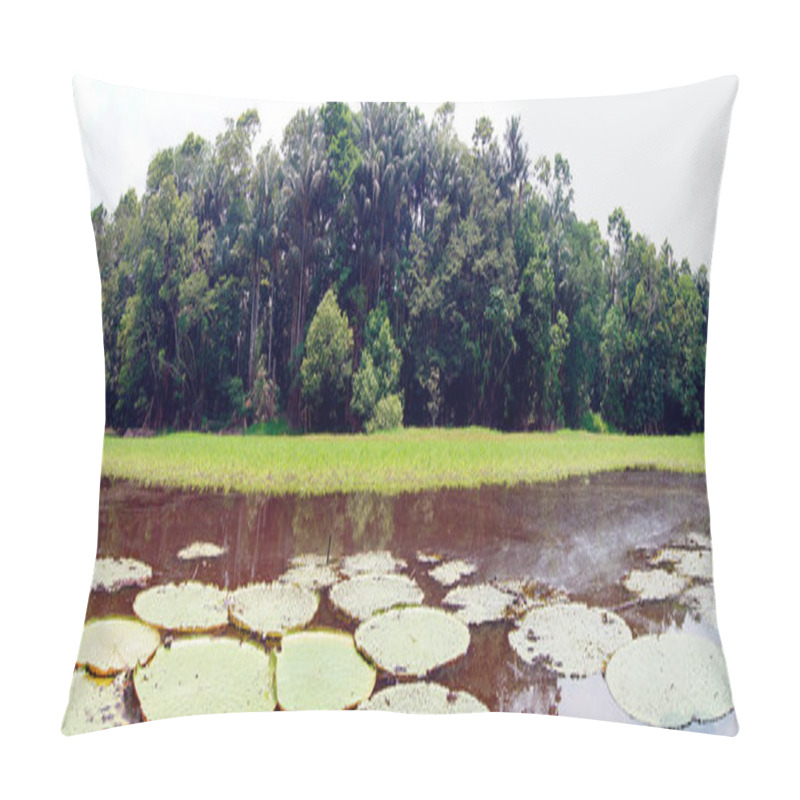 Personality  Victoria Regia Water Lilies In The Amazon River Near Manaus - Brazil Pillow Covers