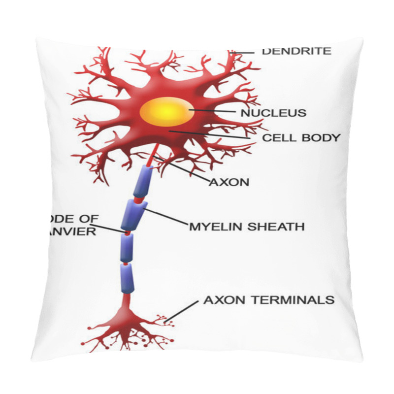 Personality  Neuron Cell Pillow Covers