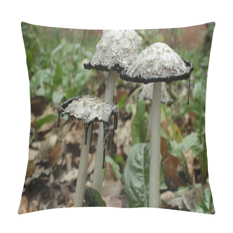 Personality   Inky Coprinus Among Fallen Leaves Pillow Covers