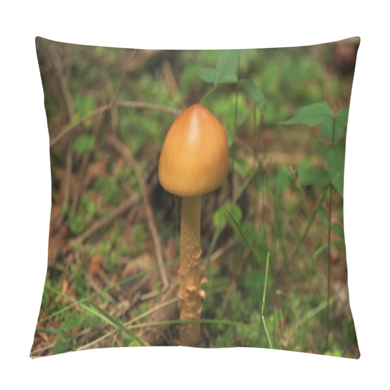 Personality  Mushroom In Summer Forest With Spruce Tree Pillow Covers