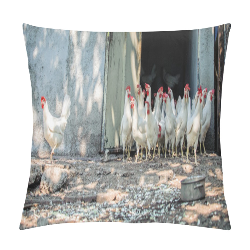 Personality  Chickens On Traditional Free Range Poultry Farm Pillow Covers